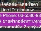 ที่ดิน ขายที่ดินเปล่าเป็นทุ่งนา ซ.ลำลูกกา 97 (ใช้ ถ.เลียบด่วนลำลูกกาได้) 48-0-57.3 ไร่ ต.บึงคำพร้อย อ.ลำลูกกา จ.ปทุมธานี   313000000 B.  19257 ตารางวา อสังหาดี