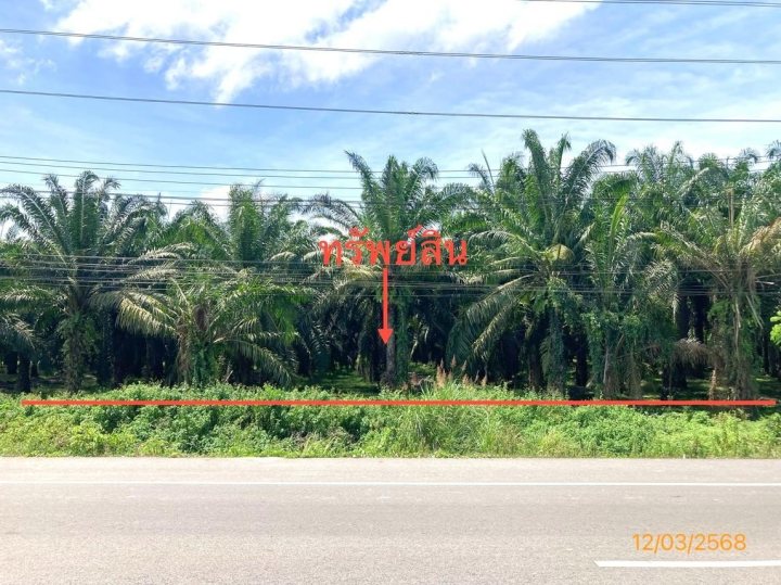 ขาย ที่ดิน สุราษฎร์ธานี  อำเภอ เกาะสมุย จังหวัด สุราษฎร์ธานี