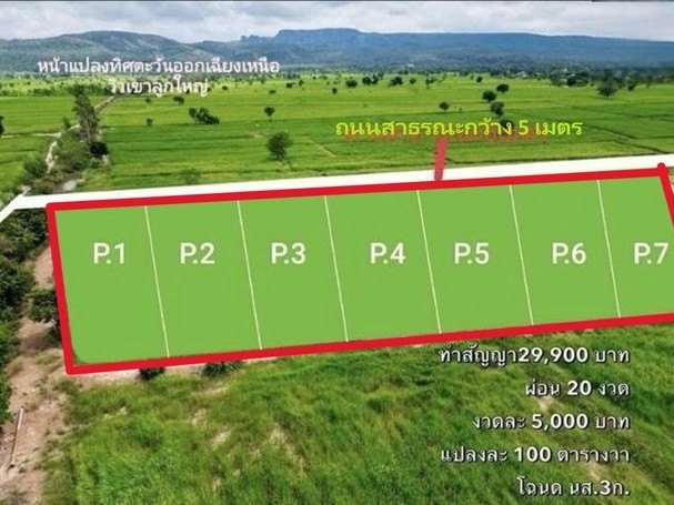 ขายที่ดินแบ่งแปลงละ 100ตรว. 99,000บ. ฟรีโอน ผ่อนตรงได้ วิวดอย ใกล้ อบต.ดงมะรุม 1 กม. ต.นิยมชัย อ.สระโบสถ์ ลพบุรี