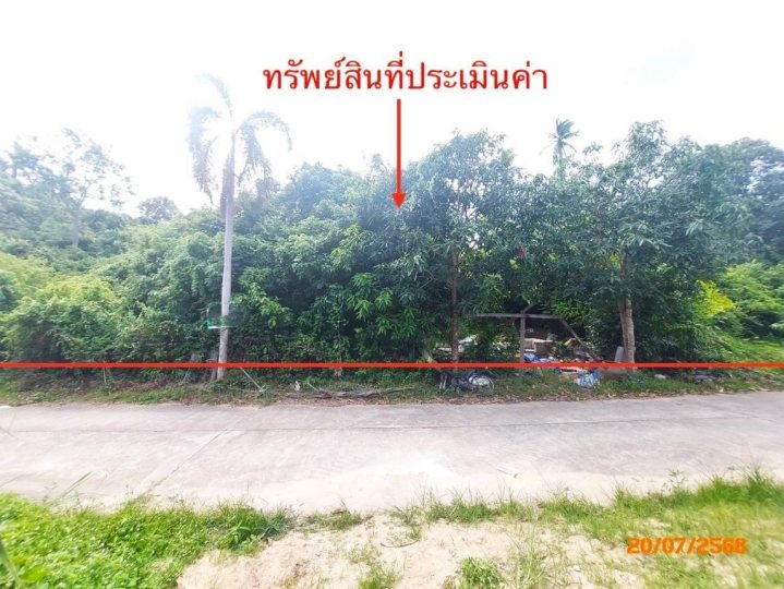 ขาย ที่ดิน สุราษฎร์ธานี  อำเภอ ไชยา จังหวัด สุราษฎร์ธานี
