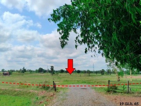 ขายที่ดินว่างเปล่า ถนน สายบ้านหนองบัวขาว-บ้านโสกตลับ (ชย.3001) ตำบล รอบเมือง อำเภอ เมืองชัยภูมิ