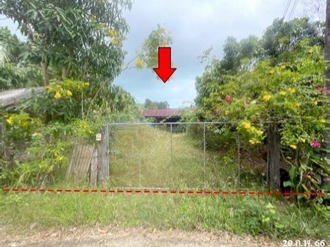 ขายบ้านเดี่ยว ถ.สายสงขลา-ระโนด (ทล.408) ตำบล ชุมพล อำเภอ สทิงพระ จังหวัด สงขลา