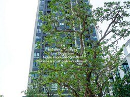 ห้องชุด Nue Noble Ngamwongwan ราคาดี เยี่ยม เป็นคอนโดพร้อมอยู่ที่มีการตกแต่งภายในเพิ่มเติมได้แบบเรียบหรู และมีทำเลสวยสามารถมองเห็นวิวเมือง พร้อมพื้นที่ส่วนกลาง และสิ่งอำนวยความสะดวกครบครัน ทั้งสระว่ายน้ำ ห้องออกกำลังกาย สวนพักผ่อนขนาดใหญ่ ใกล้ทางด่วน