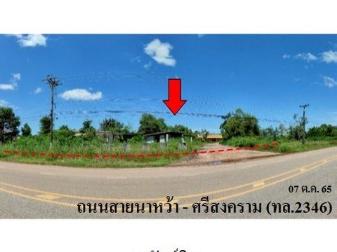 ขายโรงงาน/โกดัง  ถนน นาหว้า-ศรีสงคราม (ทล.2346) ตำบล นาหว้า อำเภอ นาหว้า จังหวัด นครพนม