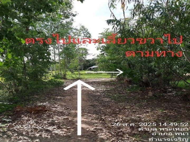 รูปที่ 2