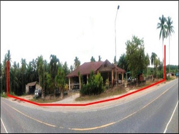 ขายบ้านเดี่ยวสุราษฎร์ธานี  อำเภอไชยา  ถนนสายไชยา - ปากหมาก