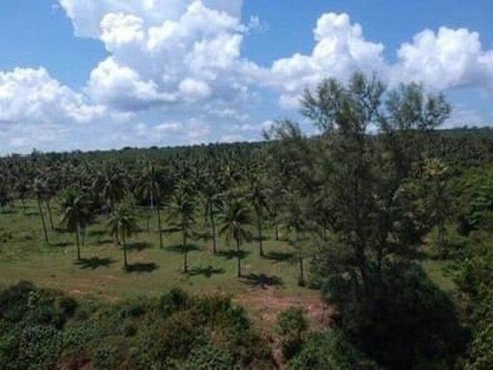 รูปที่ 2