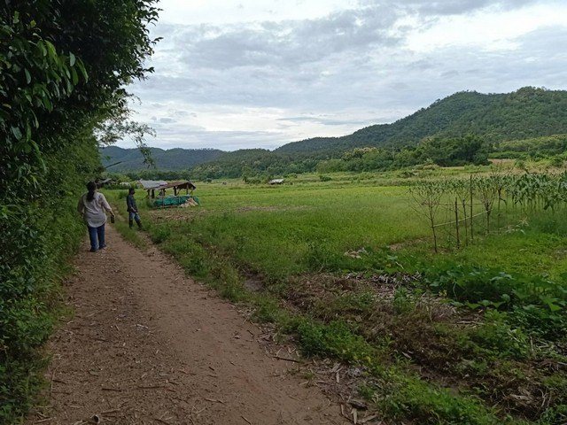 ขายที่ดิน1งาน82ตรว.250,000บ. วิวเขา ติดน้ำ ถนน บ้านแม่สาบ ต.สะเมิงใต้ อ.สะเมิง เชียงใหม่