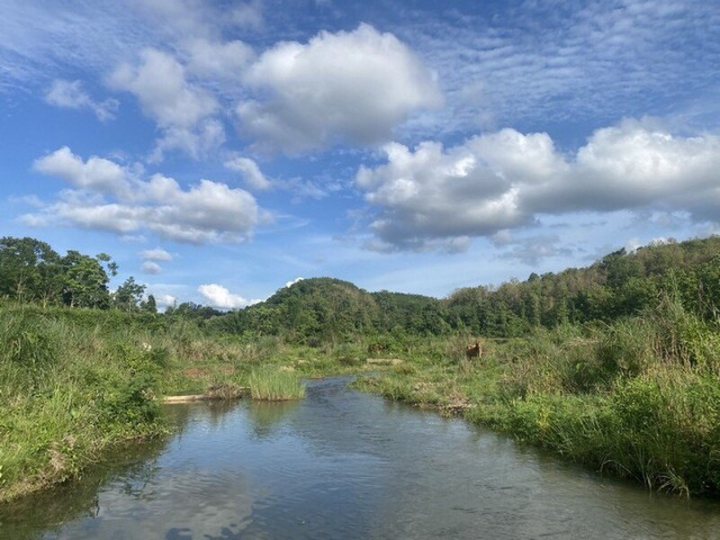 รูปที่ 2