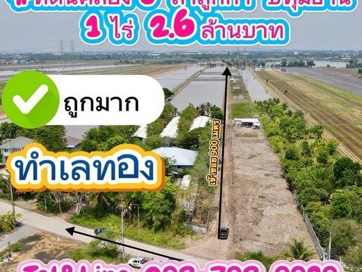 ที่ดินทำเลทอง ที่ดินคลอง8 ลำลูกกา ปทุมธานี 1 ไร่ 2.6 ล้านบาท เหลือ 1 แปลงเท่านั้น