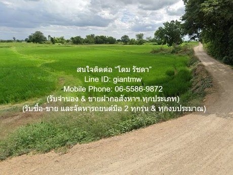 ที่ดิน //ต่ำกว่าราคาประเมิน//ขายที่ดินทุ่งนาข้าว อ.นครหลวง จ.พระนครศรีอยุธยา 17-0-76 ไร่ พื้นที่ 17 ไร่ 0 ngan 76 ตรว.  2800000 BAHT. ทำเลน่าอยู่ อยุธยา