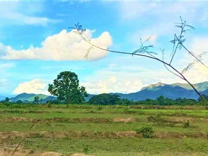 ขายที่ดินที่นา 365ตรว. 700,000บ. วิวเขา ถนน น้ำ ไฟฟ้า หลังที่ว่าการอำเภอ ต.บ้านธิ อ.บ้านธิ ลำพูน