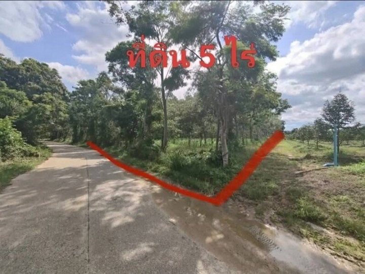 ขายที่ดิน 5 ไร่ พร้อมสวนยาง ใกล้ถนนหลัก บ้านแลง เมืองระยอง