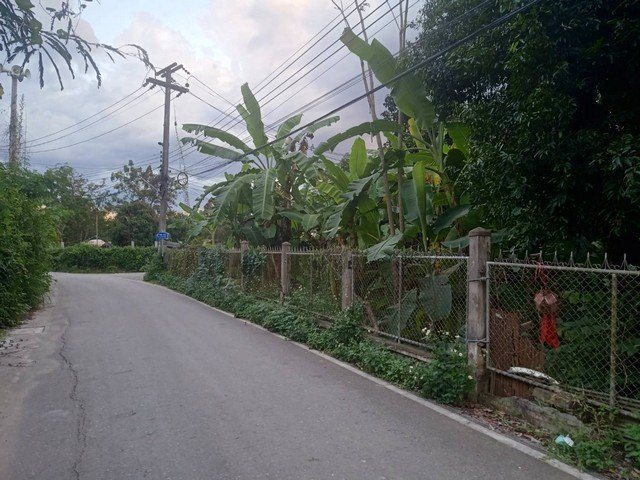 ขายที่ดิน 451ตรว. 10ลบ. มีรั้วรอบ ถนน น้ำประปา ไฟฟ้า เยื้องปั๊ม ปตท.ถนนต้นยาง ต.หนองผึ้ง อ.สารภี เชียงใหม่
