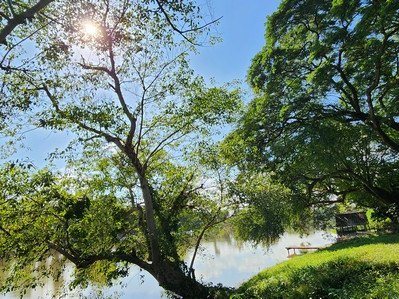 ขายที่ดินติดแม่น้ำแควน้อย เมืองกาญจนบุรี หน้าน้ำกว้าง ขนาด 9 ไร่ บรรยากาศวิวดีมาก น้ำใส ลมเย็น เหมาะสร้างบ้านพักตากอากาศ  ทำรีสอร์ท
