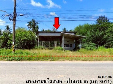 ขายบ้านเดี่ยว ถนน เชิงสมอ-ปากหมาก (สฎ.3011) ตำบล โมถ่าย อำเภอ ไชยา จังหวัด สุราษฎร์ธานี