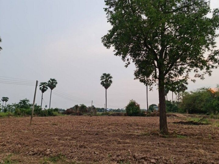 ทั้งปล่อยเช่า หรือขาย ที่ดินติดแม่น้ำน่าน ที่สวยติดแม่น้ำน่าน ชุมแสง  จ.นครสวรรค์ วิวแม่น้ำเกษตรดีงามสวยสมบูรณ์