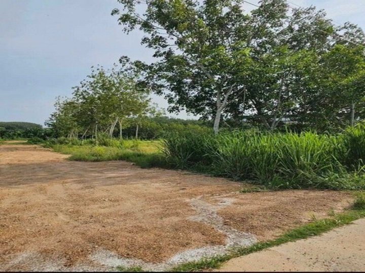 รูปที่ 2