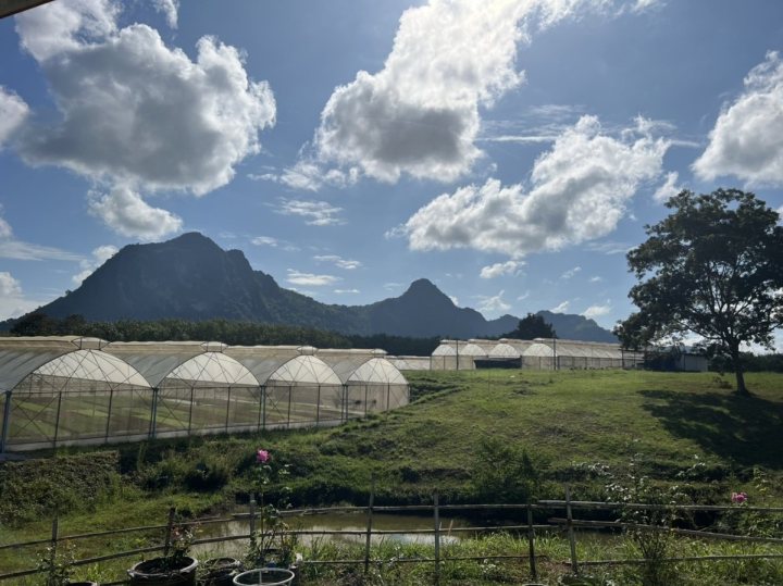 รูปที่ 4