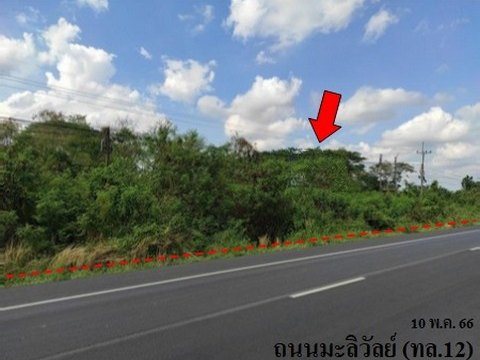 ขายที่ดินว่างเปล่า ถนน มะลิวัลย์ (ทล.12) ตำบล ขัวเรียง อำเภอ ชุมแพ จังหวัด ขอนแก่น