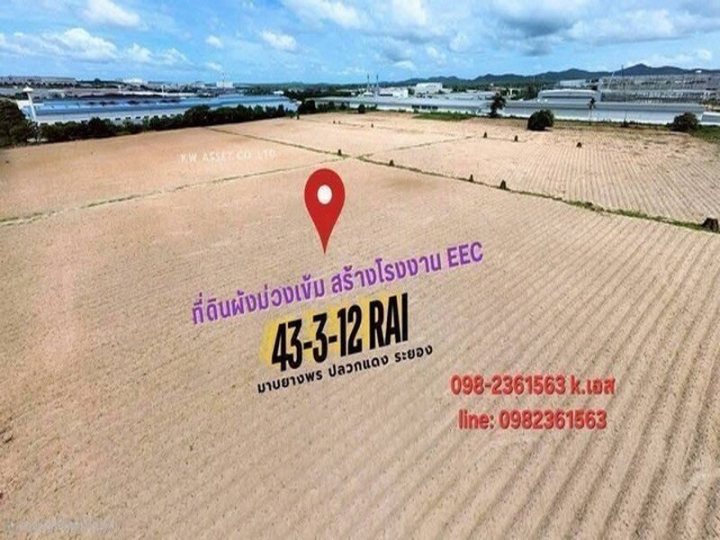 ขายที่ดิน ถมแล้ว 43-3-12 ไร่ เขตพื้นที่ สีม่วงเข้ม ติดนิคมอมตะซิตี้ระยอง