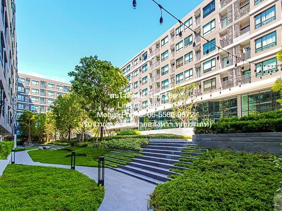 condo. ดิ ออริจิ้น สุขุมวิท 105 13000 บาท 1นอน1BATHROOM 29 ตรม   สภาพดี