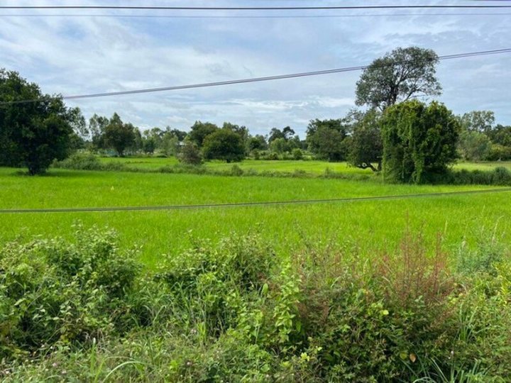 รูปที่ 2