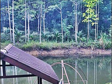 พื้นที่ดิน สวนยาง-ไม้กฤษณา วิวเขา จันทบุรี 44 ไร่ 0 Ngan 82 ตร.ว.  29000000 บ. ใกล้กับ ตลาดบ้านอ่าง เซเว่นตลาดบ้านอ่าง  Hot!! จันทบุรี